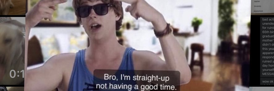 princess nincompoop banner