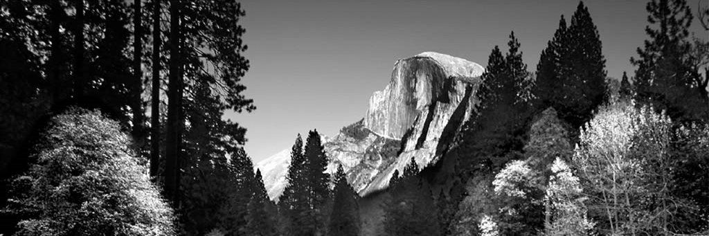 suthrngurl's profile banner image