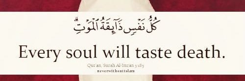 Hon Simmy💛 banner