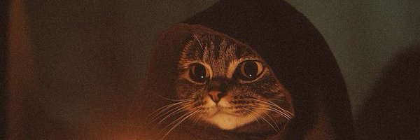shahrilredzwan Profile Banner