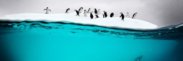 TanRockstar Profile Banner