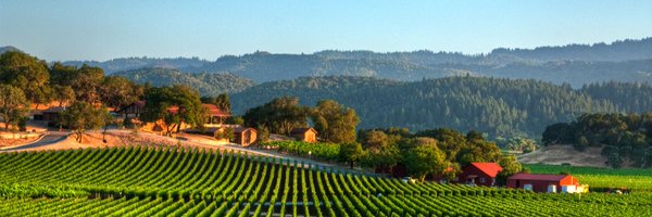 cububobear Profile Banner