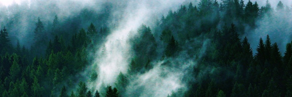 ALWlikeahowl's profile banner image