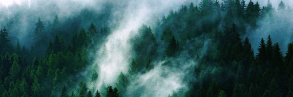 ALWlikeahowl Profile Banner