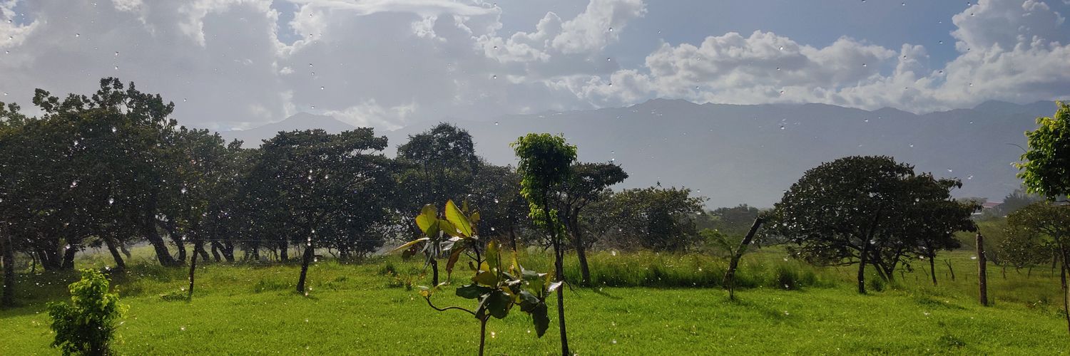 JonyMoran's profile banner image