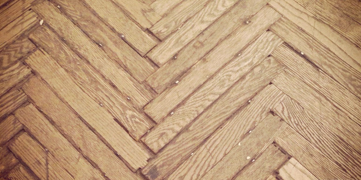 taratrucci's profile banner image