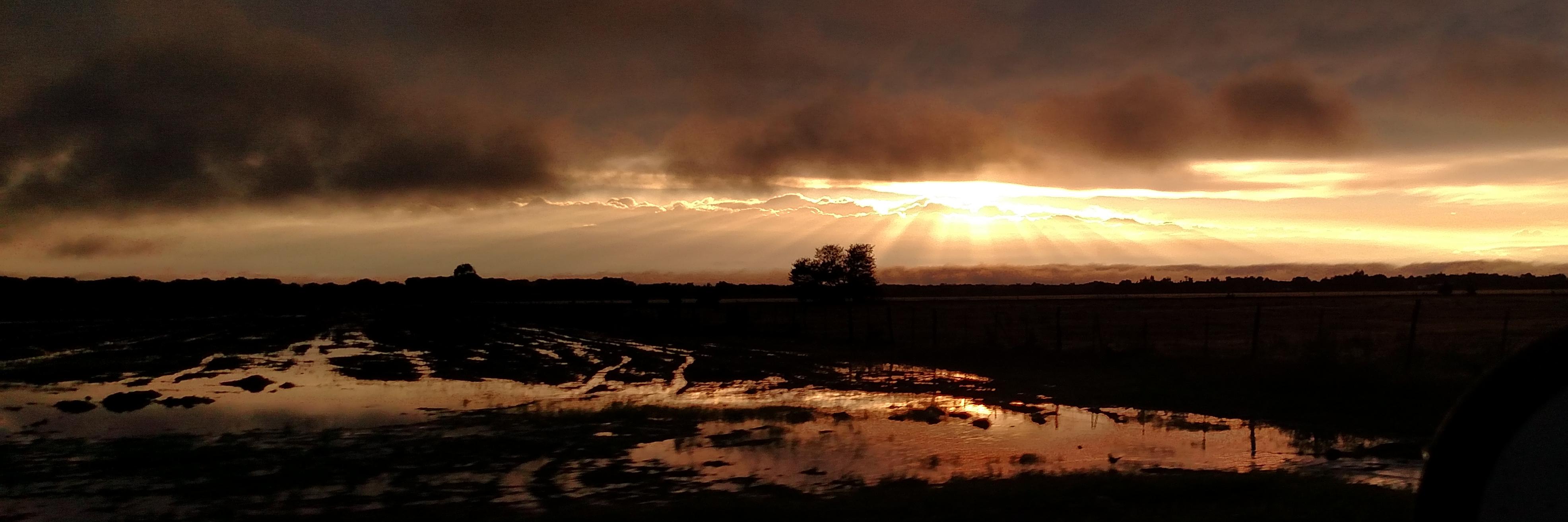 ElliottTSwain's profile banner image