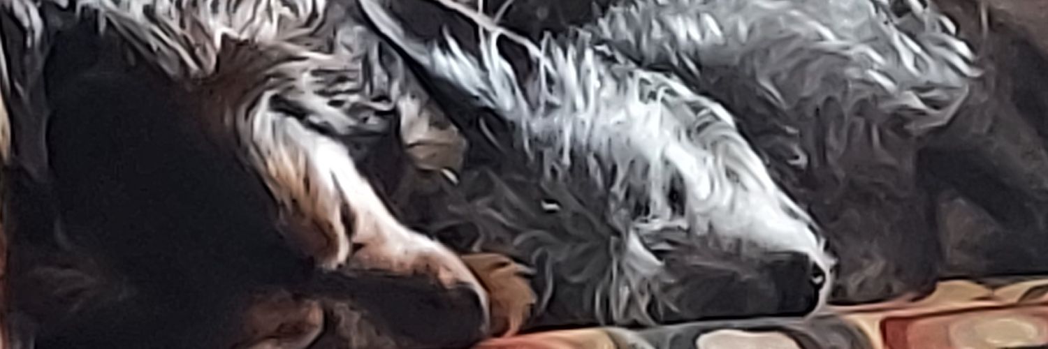 LSATadam's profile banner image