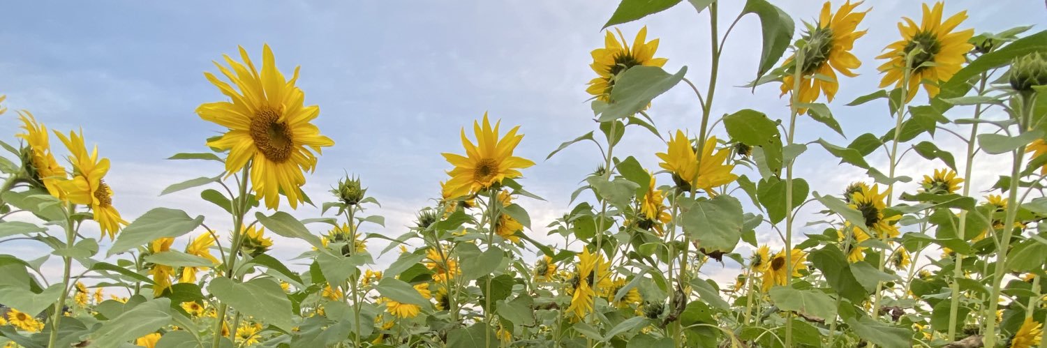 jess_long's profile banner image
