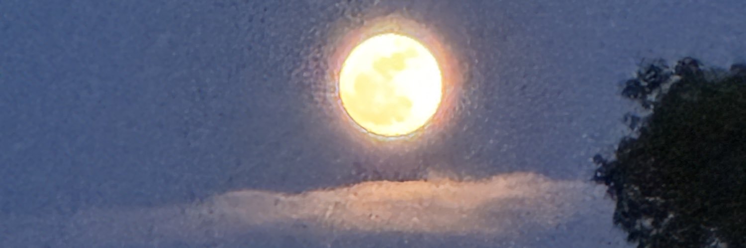 trip819595's profile banner image