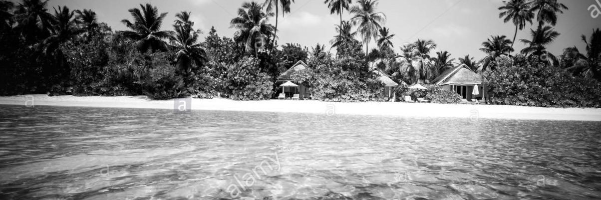 SamZepeda's profile banner image