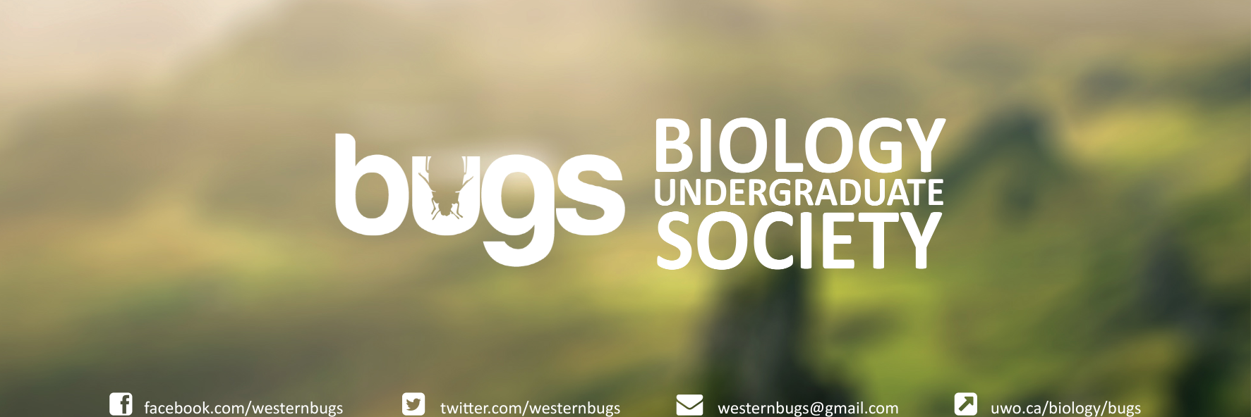 westernBUGS's profile banner image