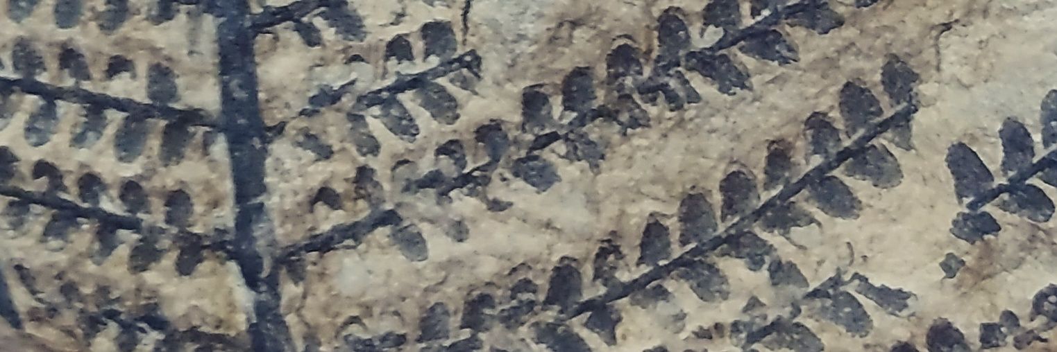 gesaghi's profile banner image