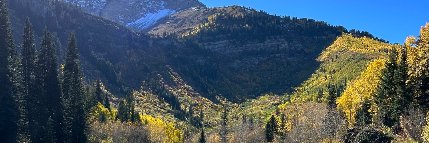 kaughty's profile banner image
