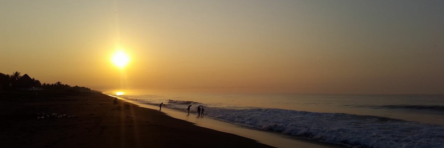 patula23's profile banner image