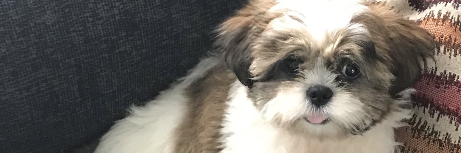 Jhanerr's profile banner image