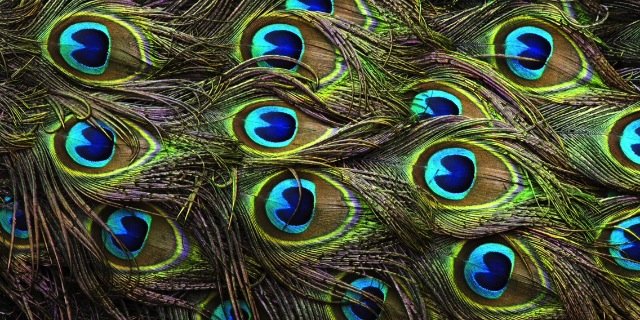 JudithChagoya19's profile banner image