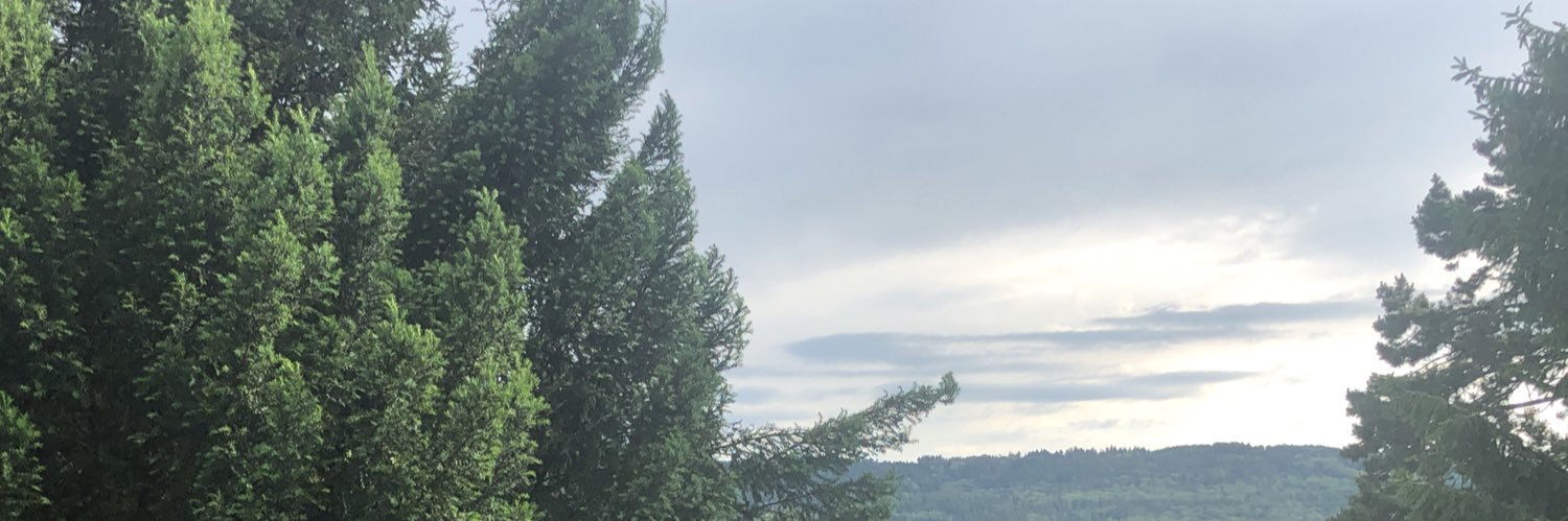Usanoff's profile banner image