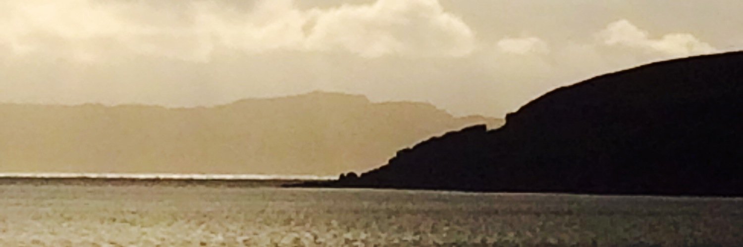 Prof Simon Pringle banner