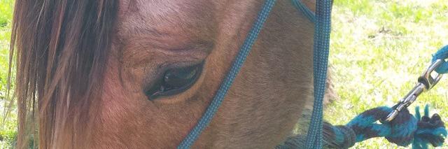 Stormy_Jewel's profile banner image