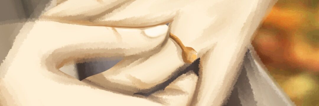 setyastrini's profile banner image