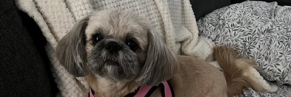 pf1968 Profile Banner