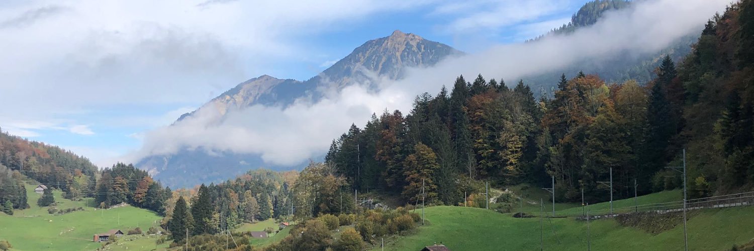 Raphaël Günther banner