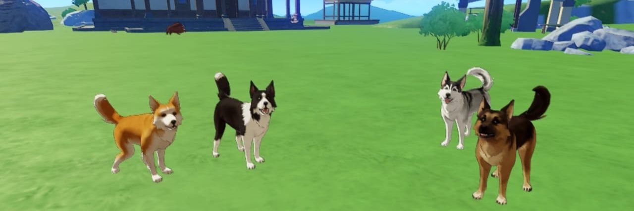 PricePolice's profile banner image