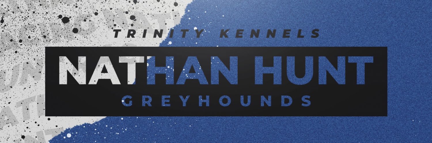 Nathan Hunt banner