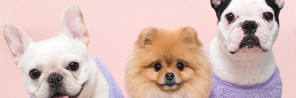 drmydrm Profile Banner