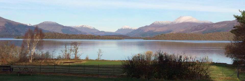 Lesley Taylor banner