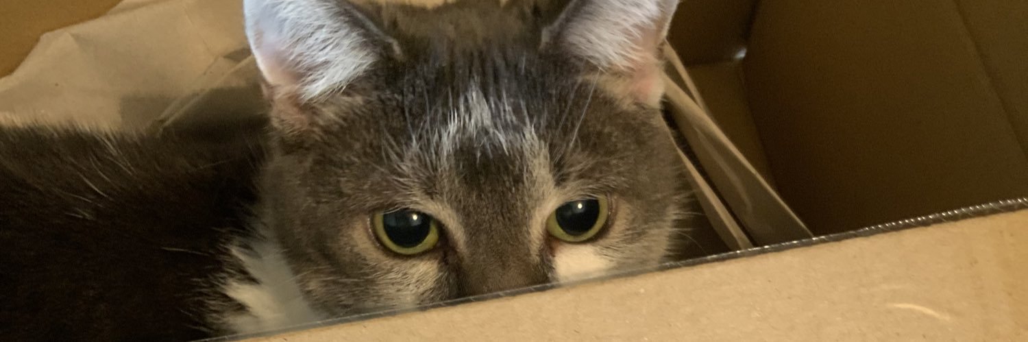 Sarey 🇺🇦🤬🦊🗡@bunnynut67.bsky.social banner