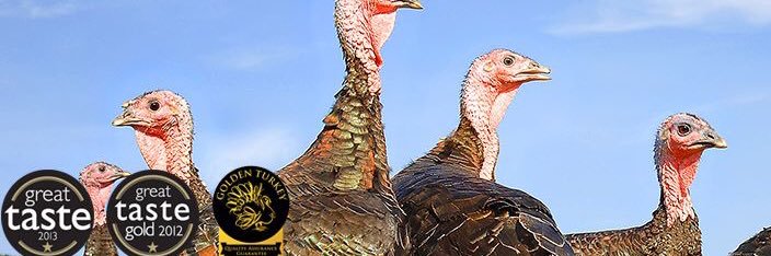 godwickturkeys's profile banner image