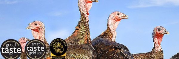 godwickturkeys Profile Banner