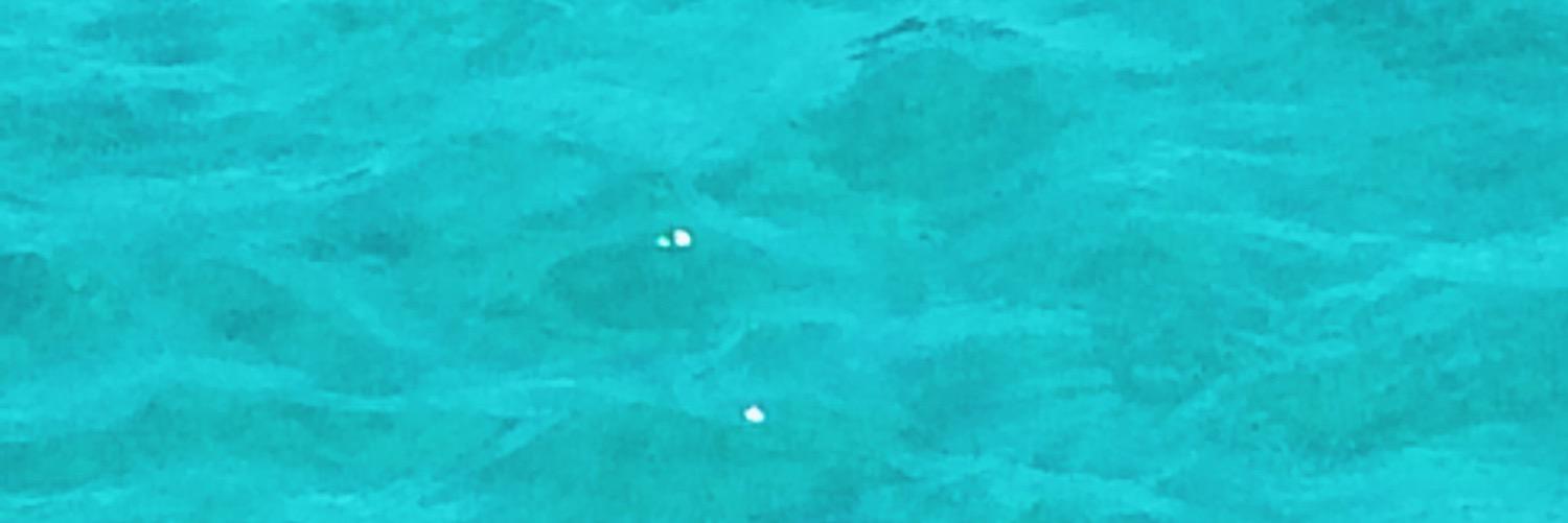 canoncag's profile banner image