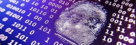 Ekmekcioglu E. banner