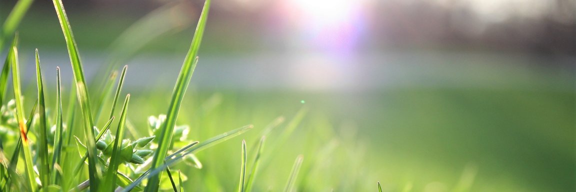 cleanairlawninc's profile banner image