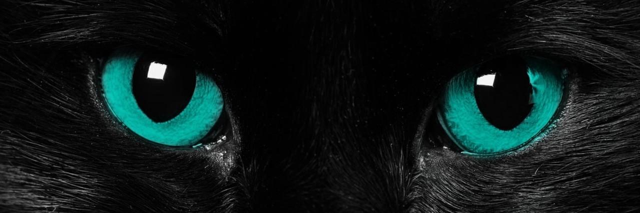 vkwssh's profile banner image