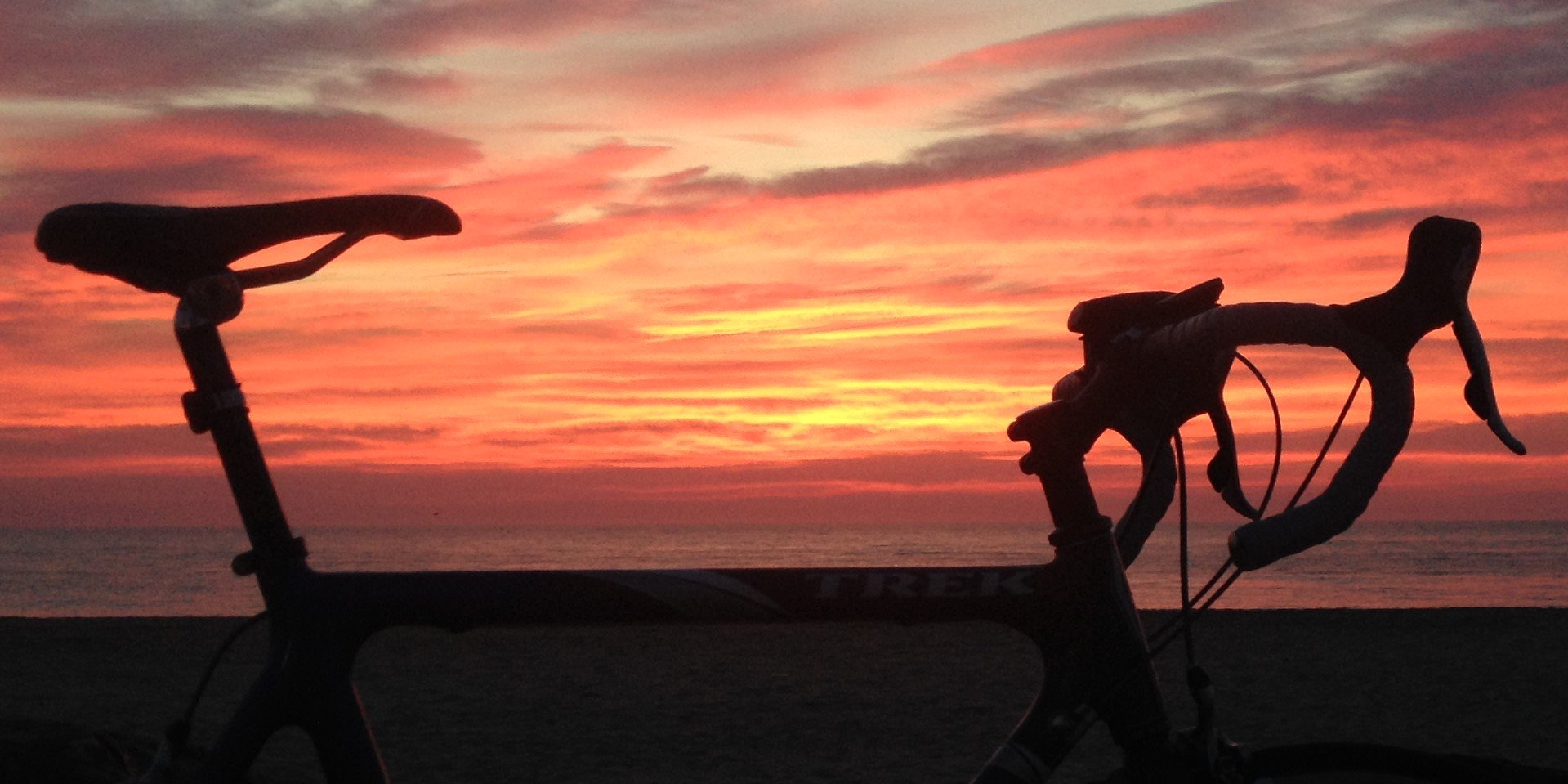 Stuart Jensen banner