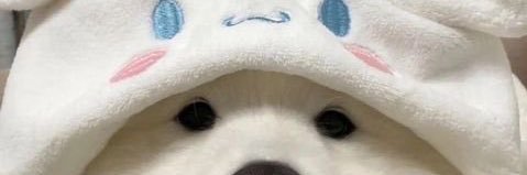 zungmiin's profile banner image