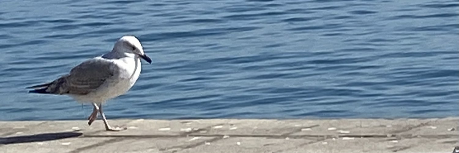 Demet 💎 banner