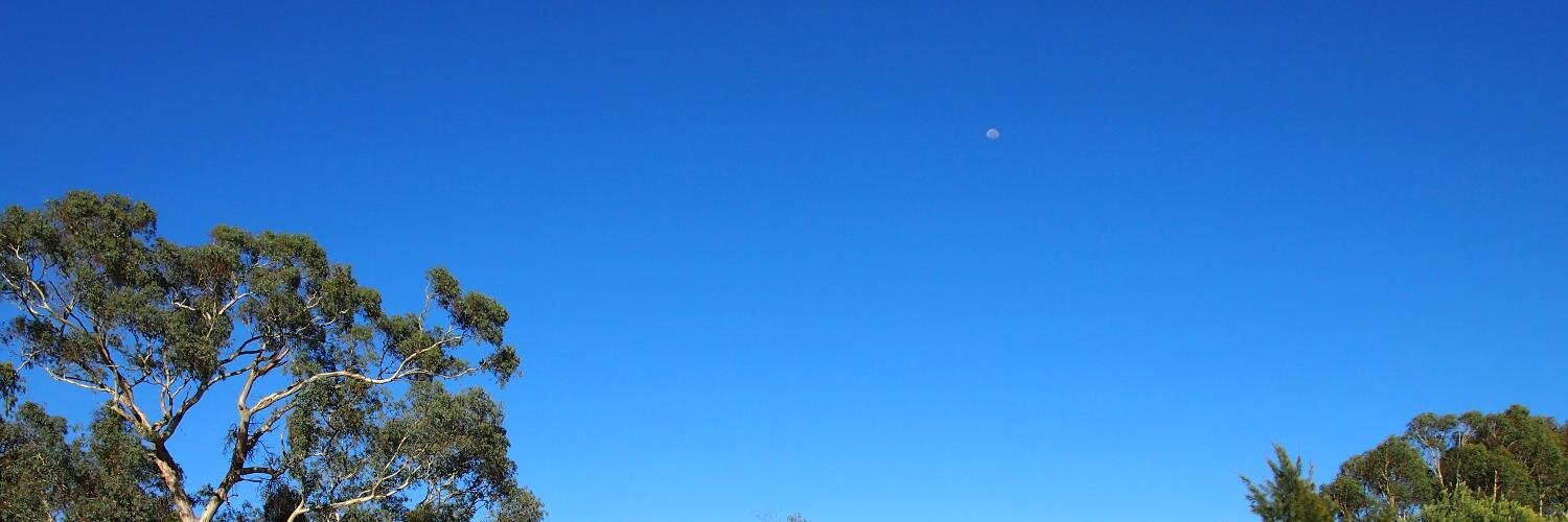 devsdevery's profile banner image