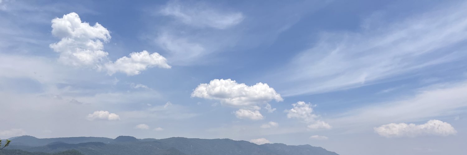 dolphincito's profile banner image