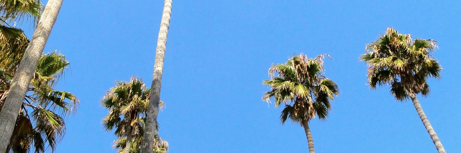 mikesullivanuk's profile banner image