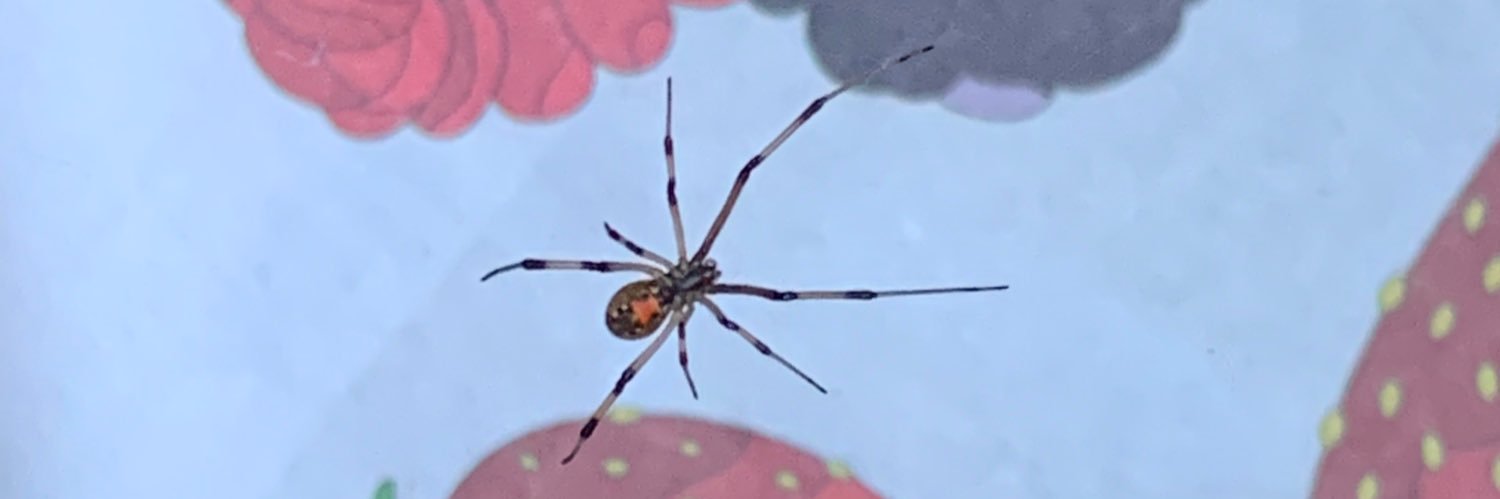 Get Christie Love banner