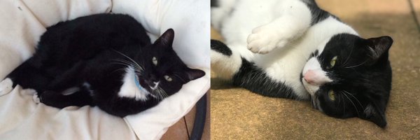 idkIeah Profile Banner