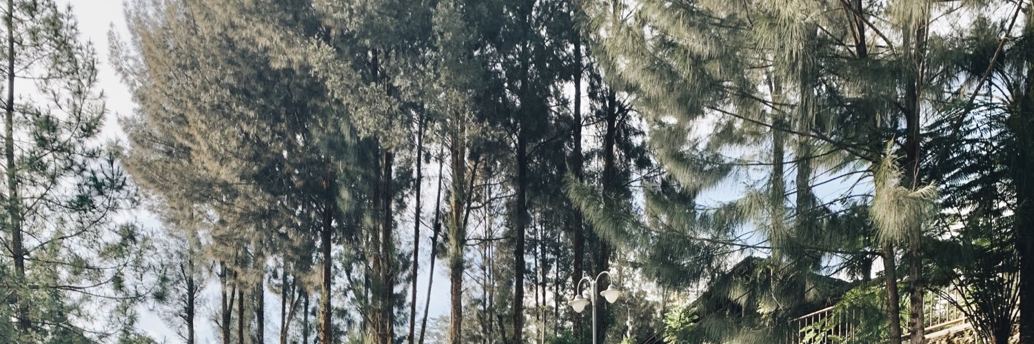 danisha laila banner