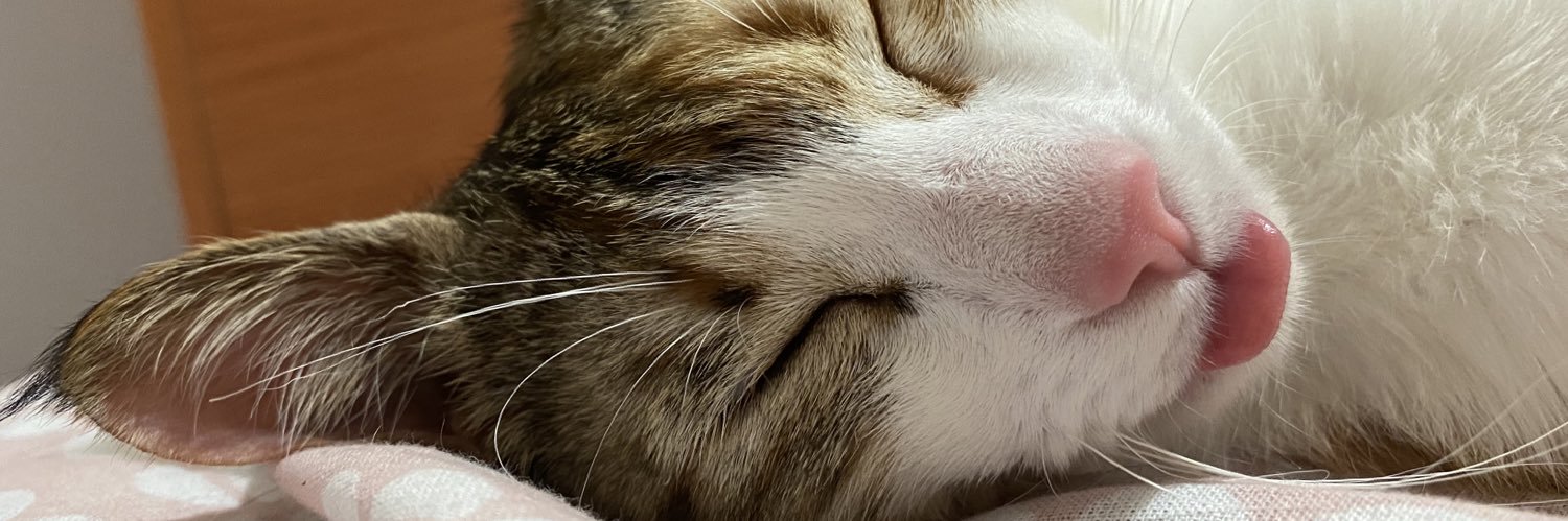 βιpοlαr ♪ banner