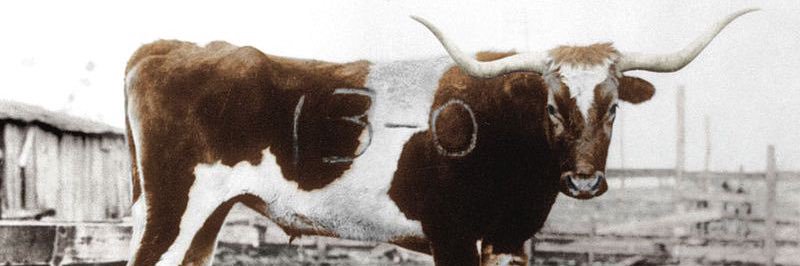 geoffchud's profile banner image