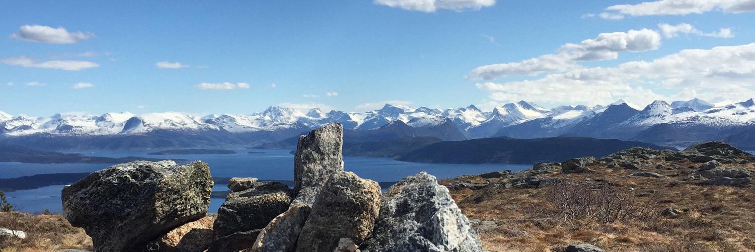 Nicolay Werring banner